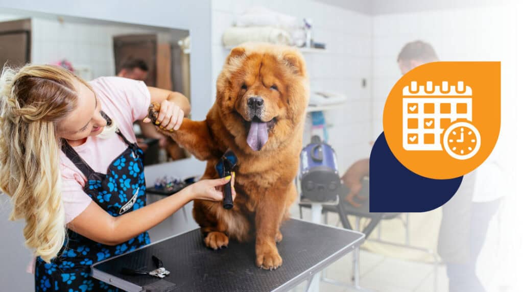 Curated visual reference: Visual Reference: Master Efficiency With Pet Grooming Management Software